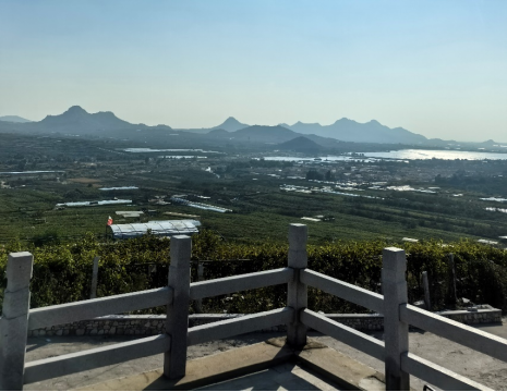 平度大澤山葡萄園引進(jìn)萊恩德土壤肥料檢測儀， 輕松掌握土壤營養(yǎng)