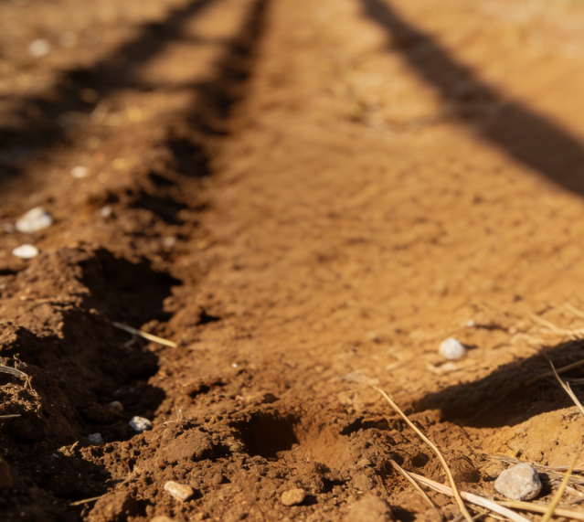 一體式土壤硬度計(jì)：快速檢測土壤緊實(shí)度的便攜利器